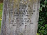 image of grave number 919870